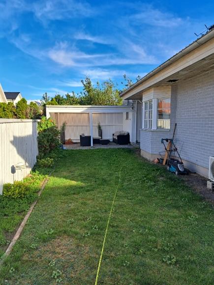 Baksidan av huset här frodas vindruvorna!