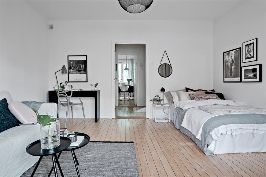 Living room / Bedroom