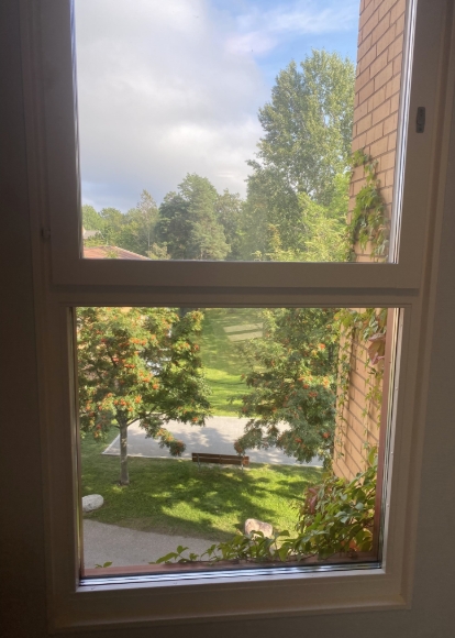 Det här fönstret finns i trapphuset och direkt till höger om vår ytterdörr.  Därför syns också det fina ljuset från julslingorna när man hasar sig ut en tidig, kall och mörk morgon.