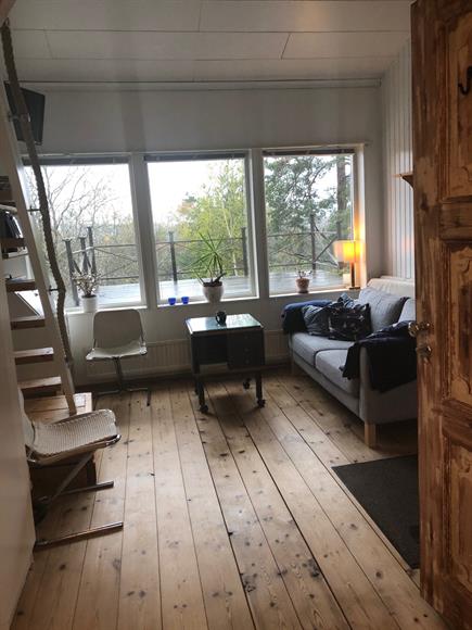 Utsikt från köket