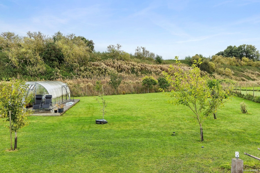 Öppen trädgård med fruktträd och växthus