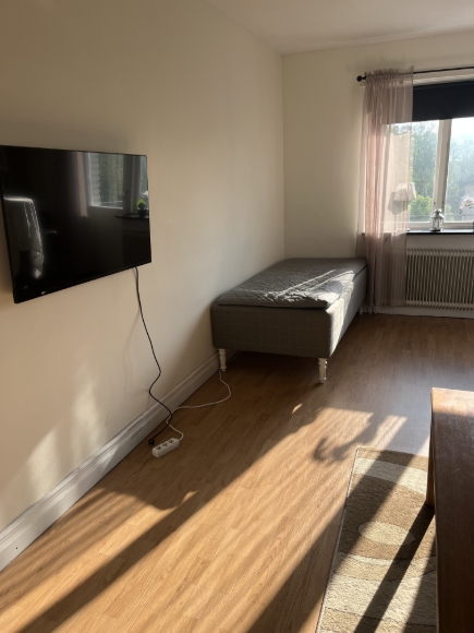 Vardagsrum med 1 st enkelsäng och stor divansoffa