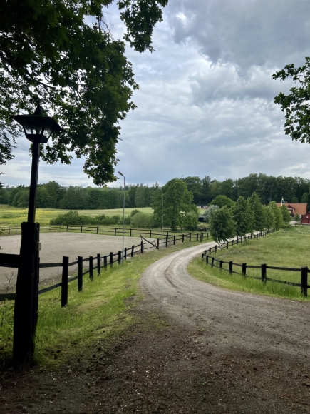 Gården med stugan i skogsbrynet.