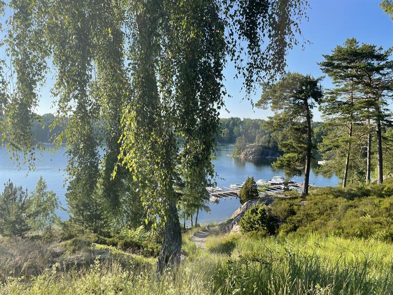 Utsikt över hamnen med badbrygga bara 100m från huset