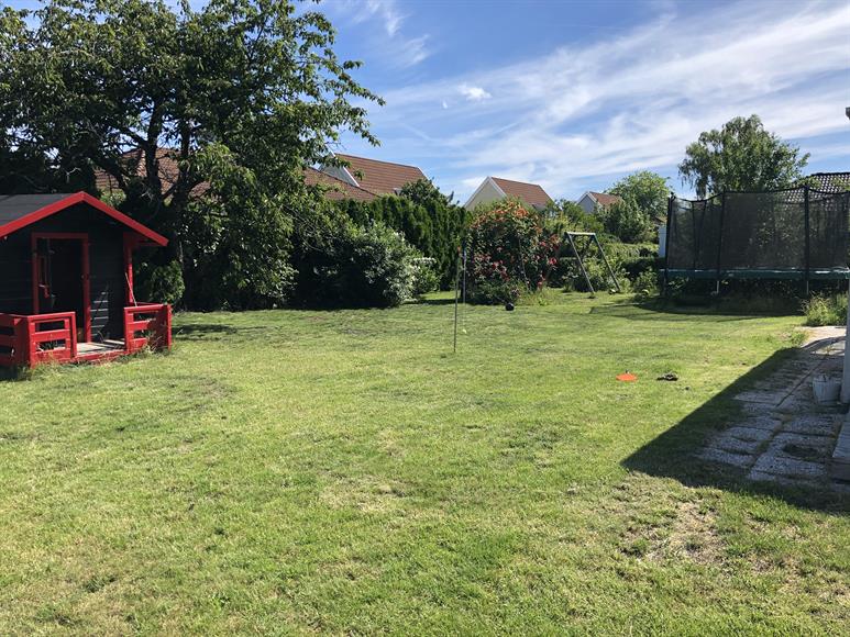Garden view.