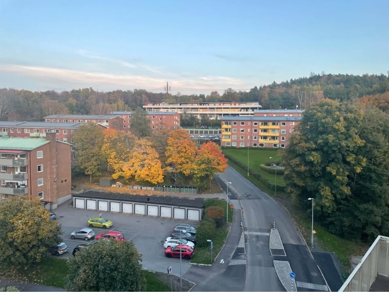 View from livingroom