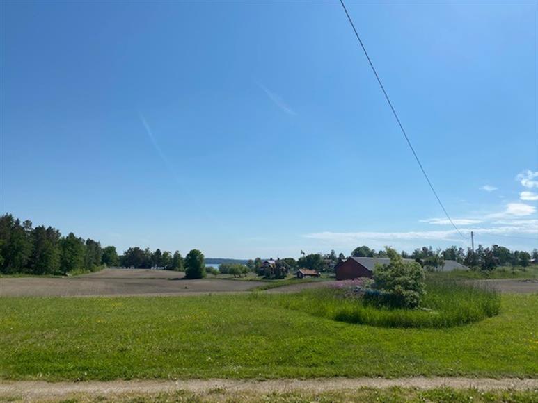 Utsikt från sovrummet.