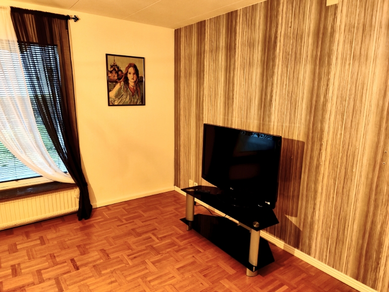 Vardagsrummet med tv och en vacker tavla.