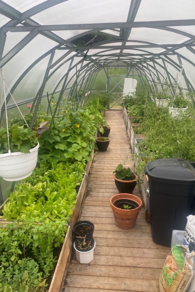 Stort växthus som möjliggör odling året om