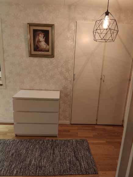 Hallen med malmbyrå, extra garderober och fin taklampa samt ett vackert väggtavla.