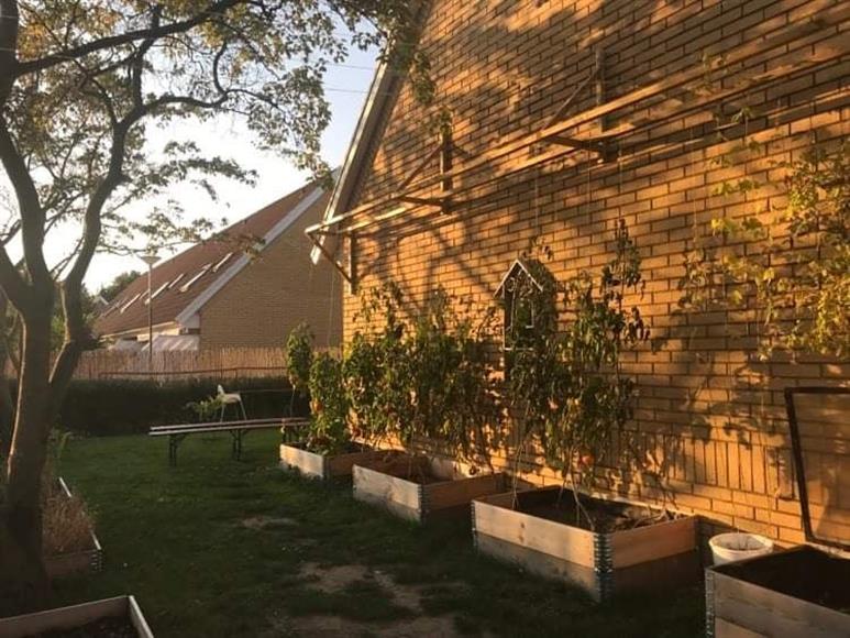 Den del av trädgård där mest odling sker. Söderläge med mycket sol och tre träd som skuggar på sina platser.
Runt hörnet finns altanen med grill, tre pallkragar, varav en är full av jordgubbar för tillfället. Finns även en gräsplätt där man kan umgås eller sola o.s.v.