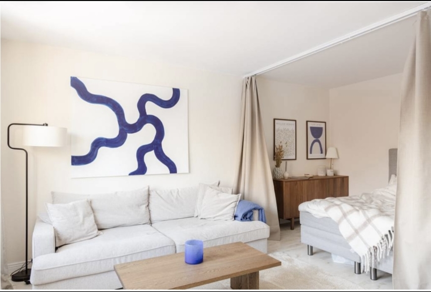 Vardagsrum och sovalkov