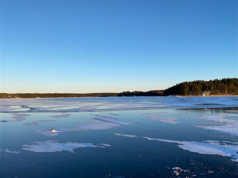 Pimpelfiske vintertid.