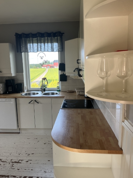 Kök med utsikt mot uteplats på framsidan och ån hedströmmen