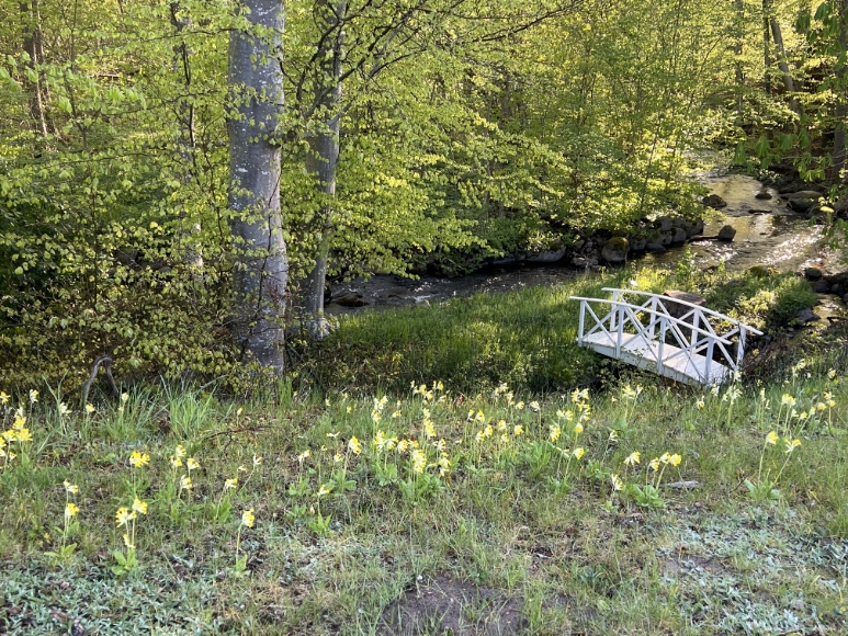 Juleboda ån bakom stugan