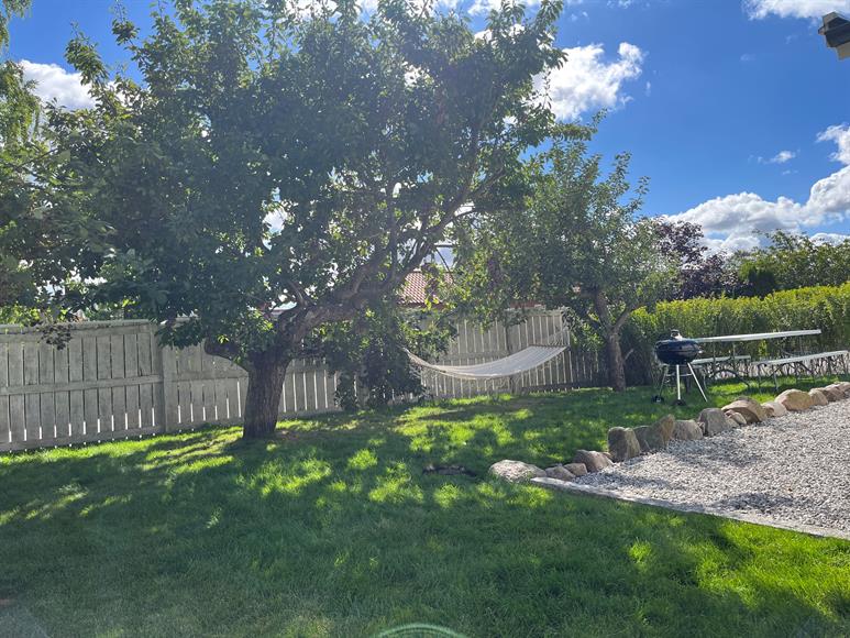 Egen trädgård med grillplats