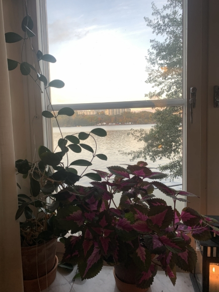 utsikt från vardagsrummet