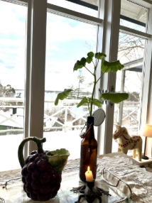 4 rum Nacka, 16 100 kr/mån | Bostadsögat