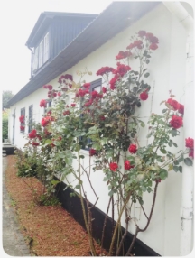 Lilla Beddinge kyrkväg 13 i Beddingestrand