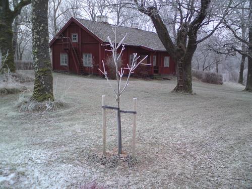Ledig lägenhet i Knivsta